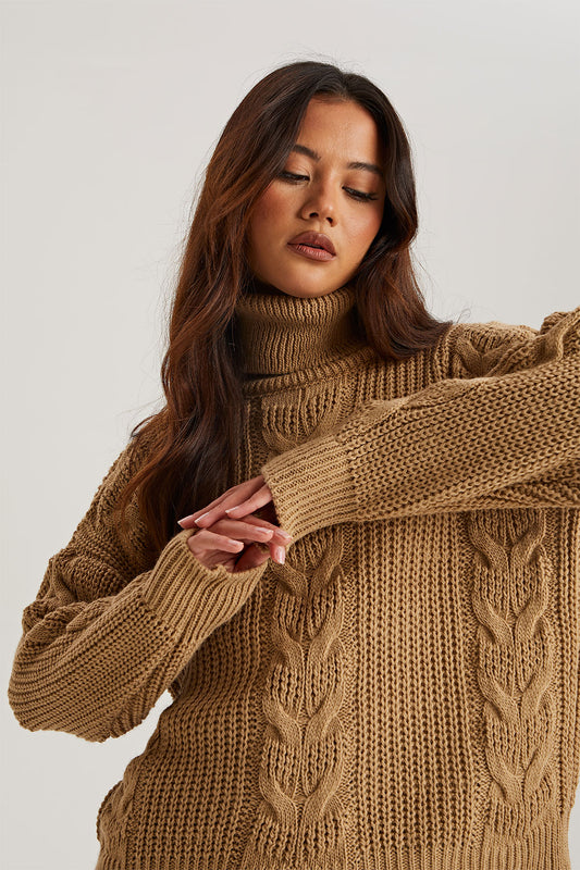 Camel Roll Neck Jumper