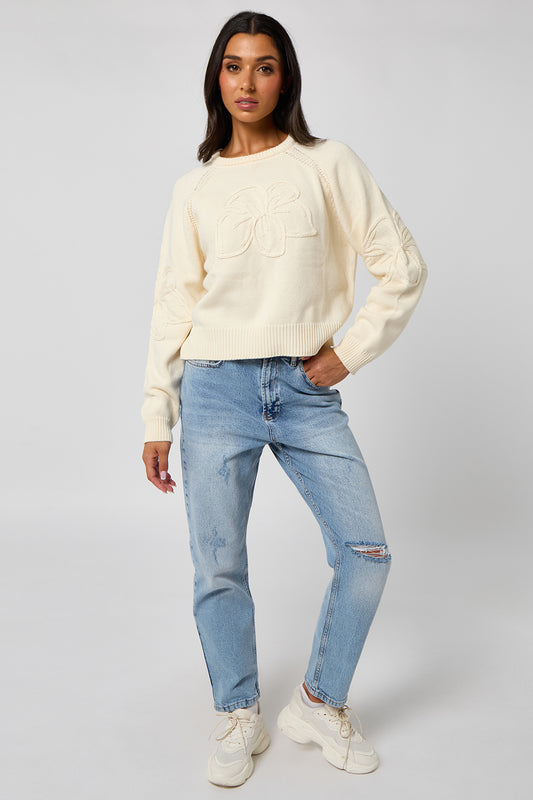 Crochet embroidery raglan jumper