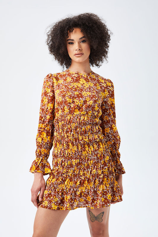 Saffron Sheered Puff Sleeve Mini Dress